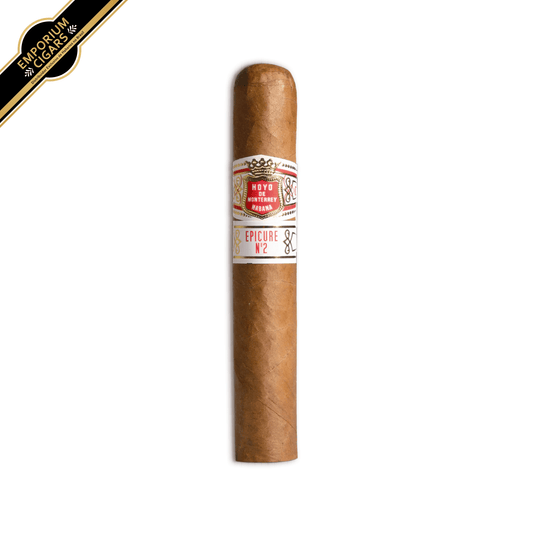 Hoyo De Monterrey Epicure nº 2