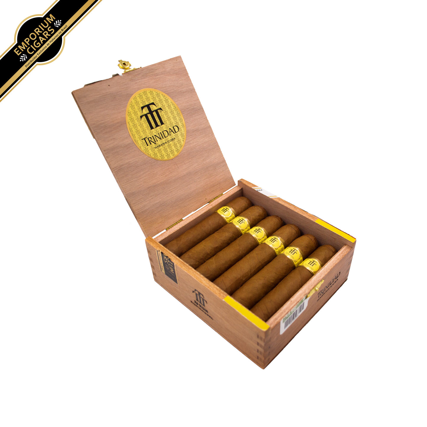 Trinidad Vigia